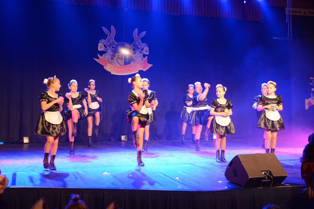 ../Images/Dansmarieke festival 2015 310.jpg